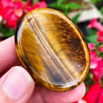 Natural Tiger Eye Palm Worry Stone Crystal Smooth Polished Gemstone Collection. Fixed Price $9.99.