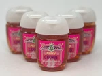 5 Htf Bath & Body Works Merry Cookie Pocketbac Anti Bacterial Hand Gel Sanitizer. Fixed Price $24.99.