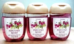 3 New Pink Kiwi Berry 2026 Pocketbac Hand Sanitizer Bath & Body Works. Fixed Price $7.50.