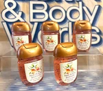 New! Bath & Body Works Pink Peach Blossom Pocketbac Hand Sanitizer (qty 5). Fixed Price $13.95.