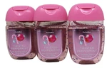 Bath & Body Works Twisted Peppermint Hand Sanitizer Anti Bacterial Gel Lot Of 3. Fixed Price $13.59.
