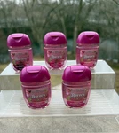 New! Bath & Body Works Disney "aurora" Pocketbac Hand Sanitizer (qty 5 - 1 Oz). Fixed Price $16.45.