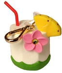Bath Body Works Pocketbac Hand Sanitizer Holder Coconut Flower Pineapple Drink. Fixed Price $15.00.