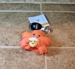 Bath & Body Works Pocketbac Holder Light Up Leaf With Acorn Fall Nwt. Fixed Price $26.95.