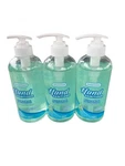 A Lot Of 3 Smart Care Hand Sanitizer 16.9oz Pump Bottle, Aloe Vera And Vitamin E. Fixed Price $17.09.