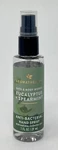 1 Bath & Body Works Eucalyptus Spearmint Anti Bacterial Hand Spray Sanitizer 1oz. Fixed Price $4.99.