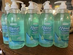 Smart Care Hand Sanitizer Aloe Vera Vitamin E Fast & Effective 33.8 Fl Oz. Fixed Price $6.00.