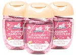Bath & Body Works Raspberry Holiday Pie Bar Pocketbac Hand Sanitizer Antibac Gel. Fixed Price $14.99.