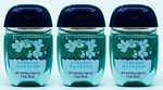 3 Bath Body Works Endless Weekend Pocketbac Antibac Hand Sanitizer Gel 1 Oz. Fixed Price $8.36.