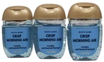 Bath & Body Works Crisp Morning Air Hand Sanitizer Anti Bacterial Gel Lot Of 3. Fixed Price $13.93.