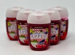 5 Bath & Body Works American Apple Pocketbac Anti Bacterial Hand Gel Sanitizer. Fixed Price $29.99.