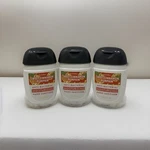 3 X Bath & Body Works Sweet Cinnamon Pumpkin Pocketbac Moisturize Sanitizer 1 Oz. Fixed Price $14.99.