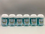 Bath & Body Works Fall Lakeside Breeze Pocketbac Hand Sanitizer 1 Floz S/6 #9057. Fixed Price $19.59.