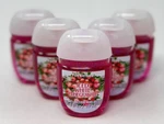 5 Rare Bath & Body Works Iced White Pomegranate Pocketbac Hand Gel Sanitizer. Fixed Price $24.99.