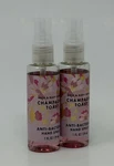 New Bath & Body Works Champagne Toast Anti-bacterial Hand Spray Sanitizer 1 Oz. Fixed Price $9.99.
