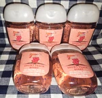 All New 5-pack Snowy Peach Berry Pocketbac Sanitizers 1 Oz Bath & Body Works. Fixed Price $20.00.