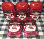 5-pack New Bright Christmas Morning Pocketbac Sanitizers 1 Oz Bath & Body Works. Fixed Price $26.00.