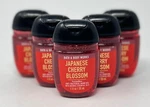 5 Bath & Body Works Japanese Cherry Blossom Pocketbac Anti Bacterial Hand Gel. Fixed Price $19.99.