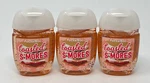 3 Bath & Body Works Toasted S'mores Pocketbac Anti Bacterial Hand Gel Sanitizer. Fixed Price $14.99.