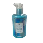 Bath & Body Works Beautiful Day Anti Bacterial Moisturizing Hand Sanitizer 7.6. Fixed Price $16.14.
