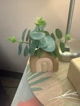 Succulent Plant Hand Sanitizer Pocketbac Bath And Body Works Case Holder Pre-own. Fixed Price $23.75.