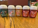 5-pack Variety Bath & Body Works Pocketbac Hand Santizer Pumpkin,peppermin 1 Oz.. Fixed Price $19.99.