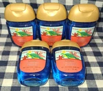 5-pack All New Turquoise Waters Pocketbac Sanitizers 1 Oz Bath & Body Works. Fixed Price $26.00.