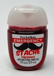1 Bath Body Works Emergency Stache Pomegranate Pocketbac Anti Bacterial Hand Gel. Fixed Price $19.99.