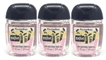 3 Bath Body Works Bonjour Raspberry Rose Pocketbac Antibacterial Hand Sanitizer. Fixed Price $14.95.