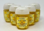 5 Bath Body Works You Are My Sunshine Pocketbac Anti Bacteria Hand Gel Sanitizer. Fixed Price $19.99.