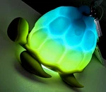 Bath & Body Works Sea Turtle Light Up Pocketbac Hand Sanitizer Holder New. Fixed Price $18.00.