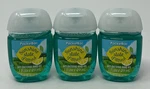 3 Bath Body Works Sunshine State Mind Pocketbac Anti Bacterial Hand Gel Sanitize. Fixed Price $19.99.
