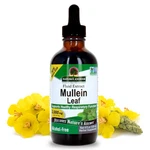 Natures Answer Mullein Leaf Extract Alcohol Free 4 Oz 2000 Mg Herbal Respir.... Fixed Price $107.90.