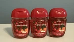 Bath & Body Works Pumpkin Apple Pocketbac Sanitizer Hand Gel 1 Oz Lot Of 3!. Fixed Price $9.99.