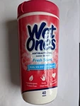 3 Pack Wet Ones Antibacterial Hand Wipes Fresh Scent 40 Count Canister. Fixed Price $21.99.