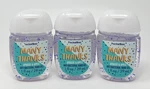 3 Bath & Body Works Many Thanks Apricot Apple Pocketbac Hand Gel Sanitizer Rare. Fixed Price $14.99.