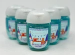 Lot Of 5 Bath & Body Works Winter Pocketbac Anti Bacterial Hand Gel Sanitizer. Fixed Price $12.99.
