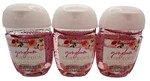Bath & Body Works Gingham Gorgeous Hand Sanitizer Gel Pocketbac 1 Oz X3 *read*. Fixed Price $20.40.