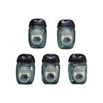 Bath & Body Works Candy Apple Cauldron Pocketbac Hand Sanitizer Set Of 5 New. Fixed Price $14.99.
