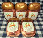 5-pack All New Pink Peach Blossom Pocketbac Sanitizers 1 Oz Bath & Body Works. Fixed Price $26.00.