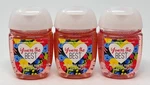 3 Bath Body Works You're The Best Pocketbac Anti Bacterial Hand Gel Sanitizer. Fixed Price $12.99.