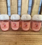Bath & Body Works Snowy Peach Berry Pocketbac Gel Hand Sanitizers 1oz Xmas 8/25*. Fixed Price $8.67.