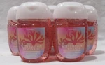 Bath & Body Works Pocketbac Hand Gel Lot Set Of 5 Watermelon Lemonade. Fixed Price $28.66.