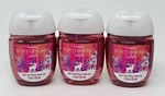 3 Bath & Body Works Winterberry Ice Pocketbac Anti-bacterial Hand Gel Sanitizer. Fixed Price $8.99.