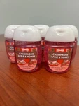 5-pack Bath And Body Works Champagne Apple &honey Pocket Hand Santizer Brand New. Fixed Price $20.99.
