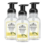 J.r. Watkins Foaming Hand Soap With Pump Dispenser, Moisturizing Foam Wash,. Fixed Price $14.74.