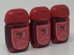 3 Bath & Body Works Winter Candy Apple Pocketbac Hand Sanitizer Anti Bac Gel. Fixed Price $7.99.