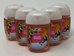 5 Bath & Body Works Seaside Sunrise Pocketbac Anti Bacterial Hand Gel Sanitizer. Fixed Price $29.99.