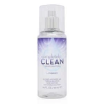 Completely Clean Hand Sanitizer Spray 4.2 Oz (126 Ml). Fixed Price $13.95.