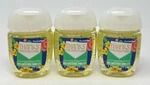 3 Bath & Body Works Thanks For Everything Clementine Pocketbac Anti Bac Hand Gel. Fixed Price $17.99.